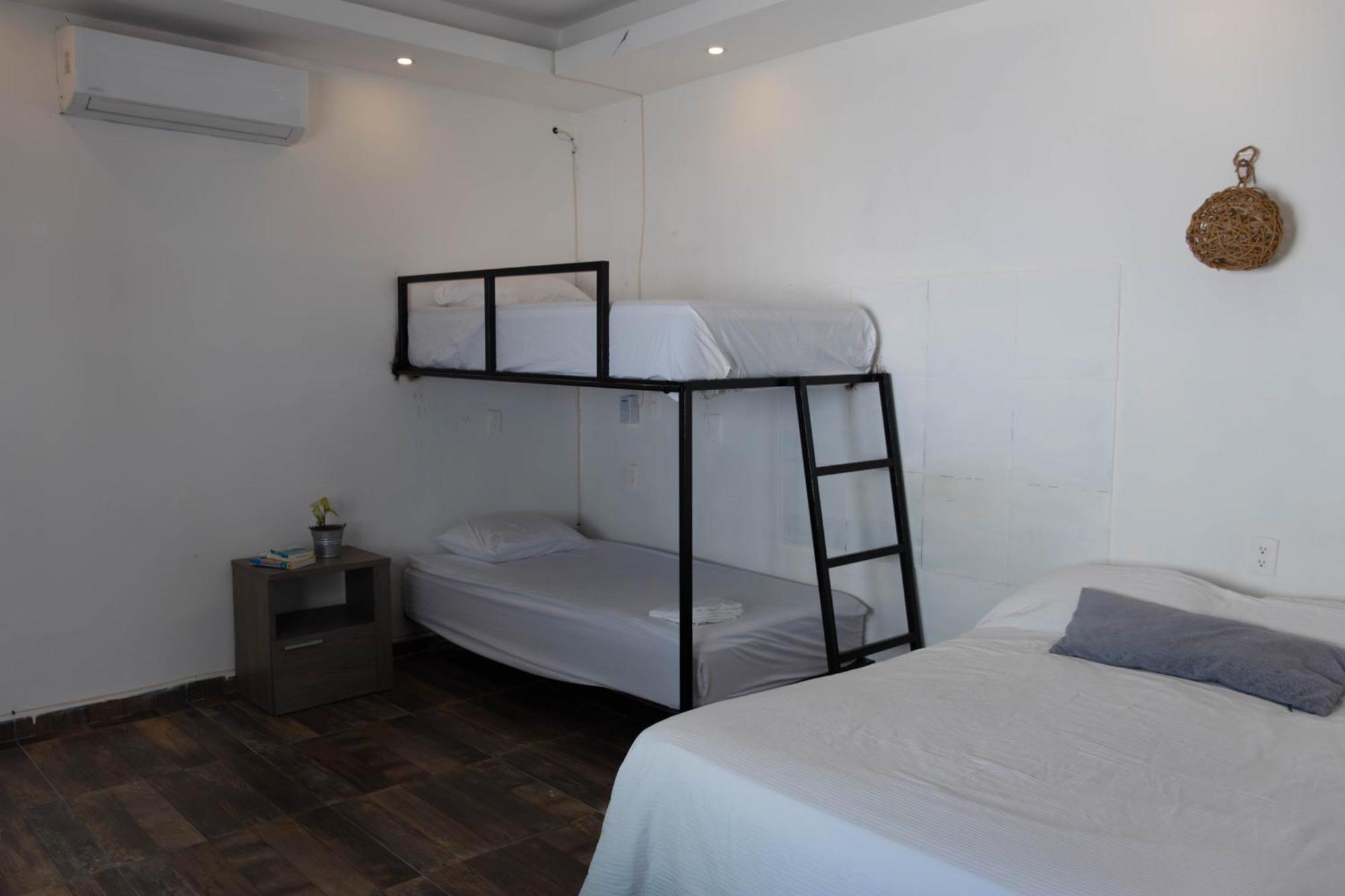 פלאייה דל כרמן The Hostal Inn מראה חיצוני תמונה