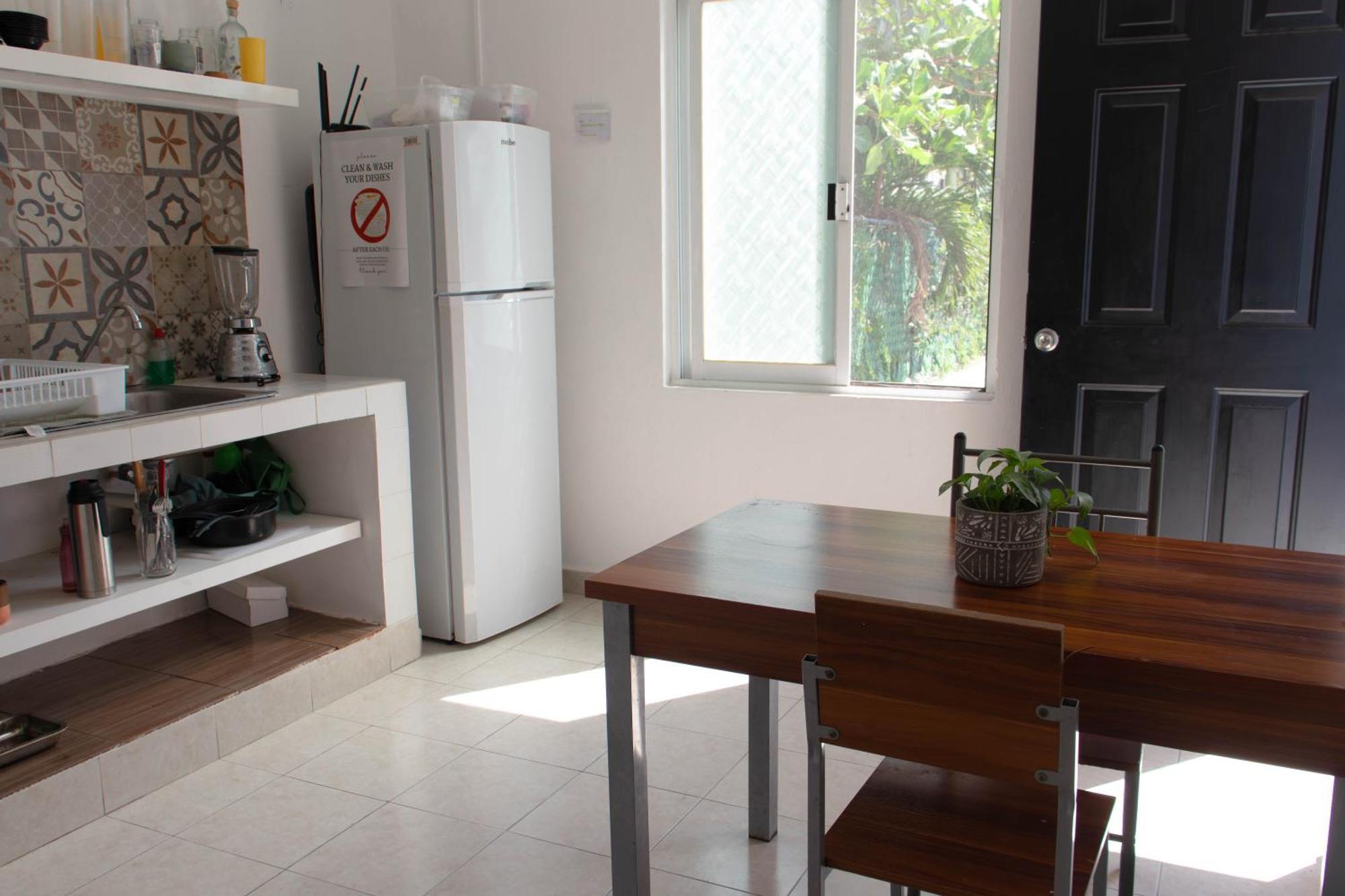 פלאייה דל כרמן The Hostal Inn מראה חיצוני תמונה